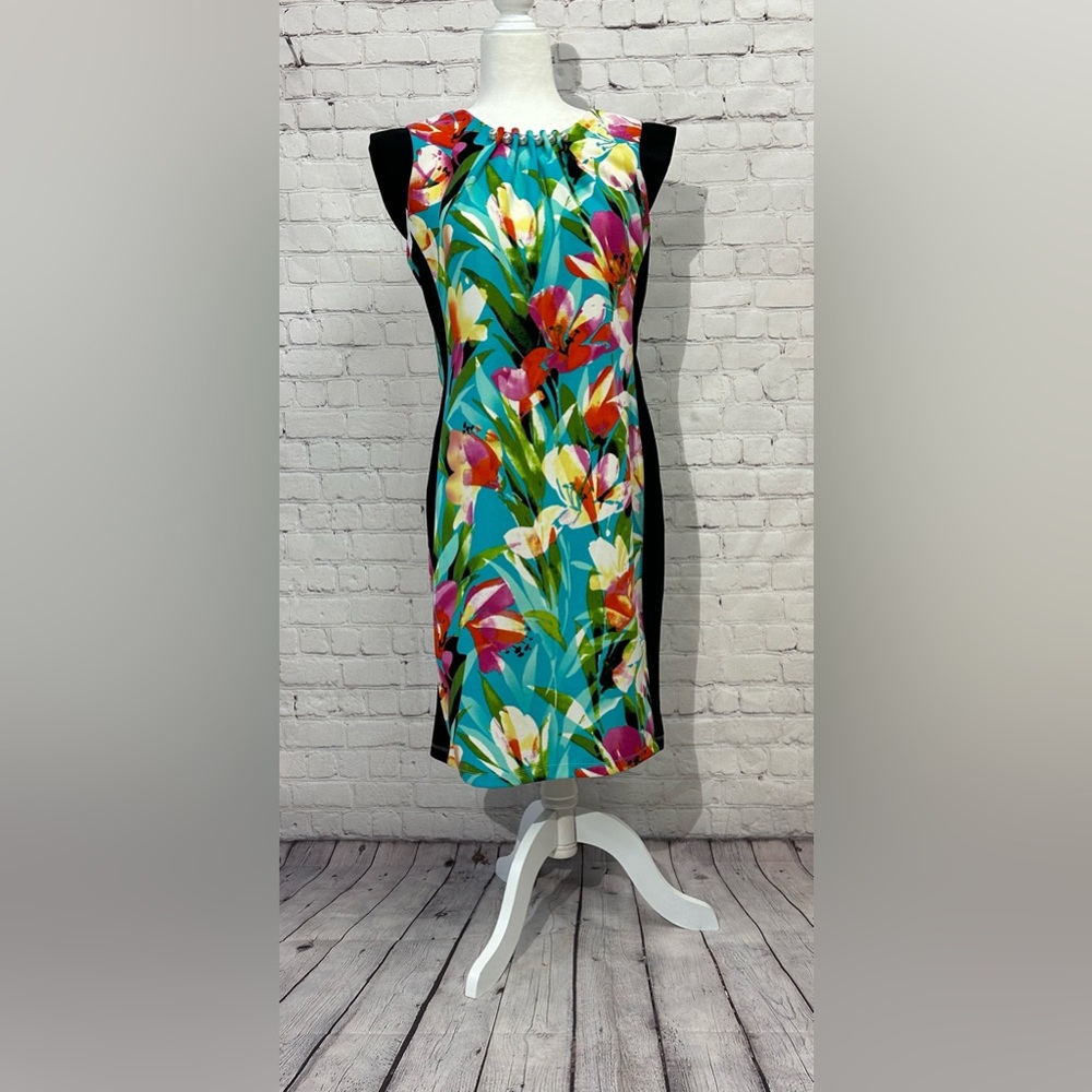 I Le Dress Size 10
